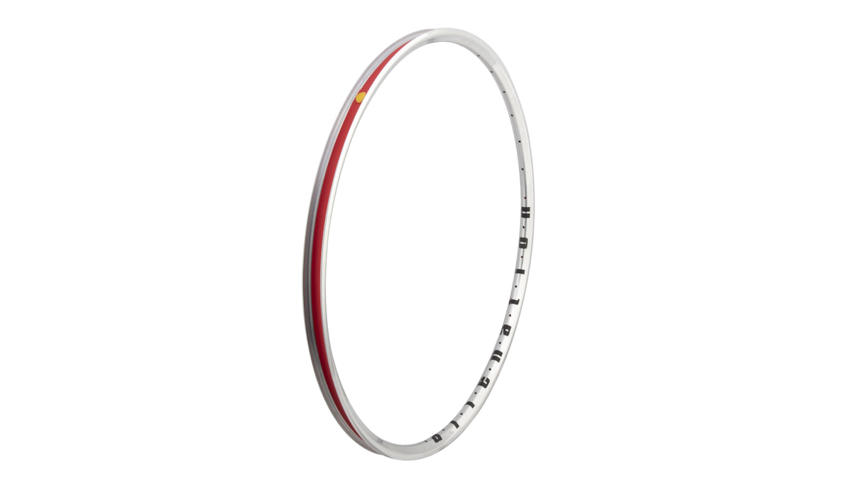 Alienation Mischief Rim - 24" 26" & 29" (28H, 32H & 36H)