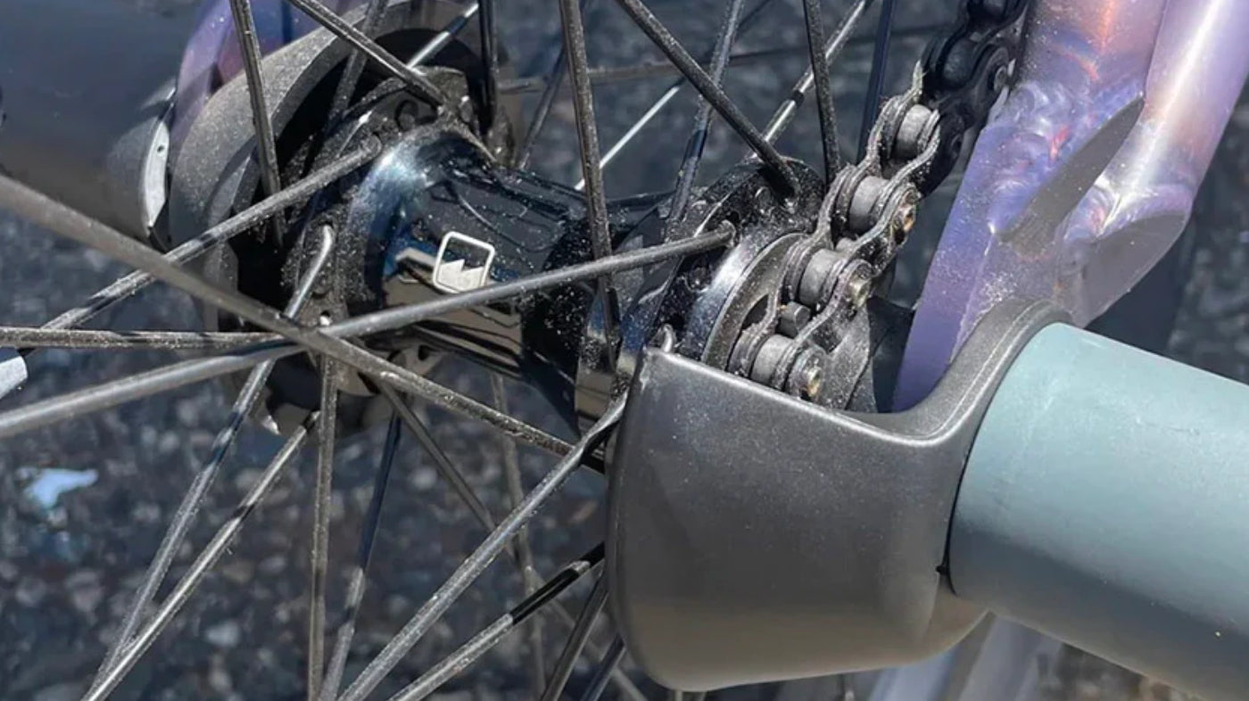 Merritt Sentry Rear Hub Guard