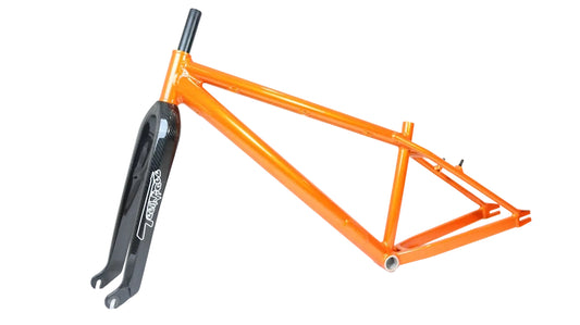 Bassett Super Menace & Technique Carbon Forks Frame Set 29"