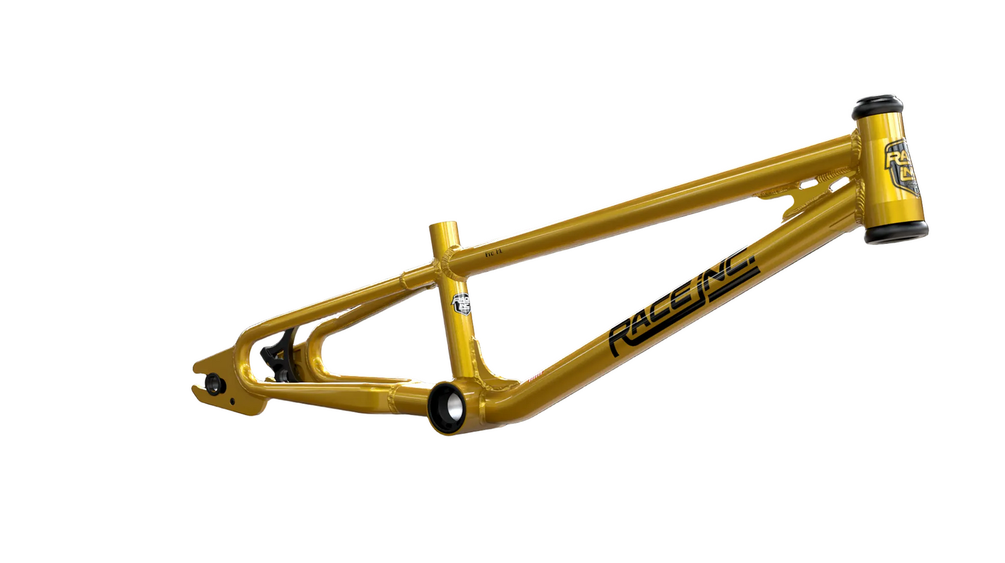 Race Inc Neo Retro Frame - Expert, Pro & Cruiser
