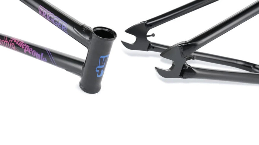 WeThePeople Trigger Frame